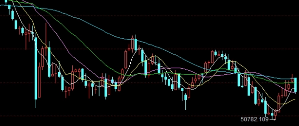 猪肉期货替代品有哪些(猪肉期货是利空还是利好)_http://okseec.cn_期货资讯_第1张