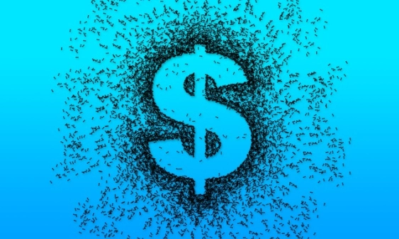 即学即用!期货黄金喊单直播室:投资者的指南与警示_期货资讯_第1张_OK期货直播室 即学即用!期货黄金喊单直播室:投资者的指南与警示_http://okseec.cn_期货资讯_第1张